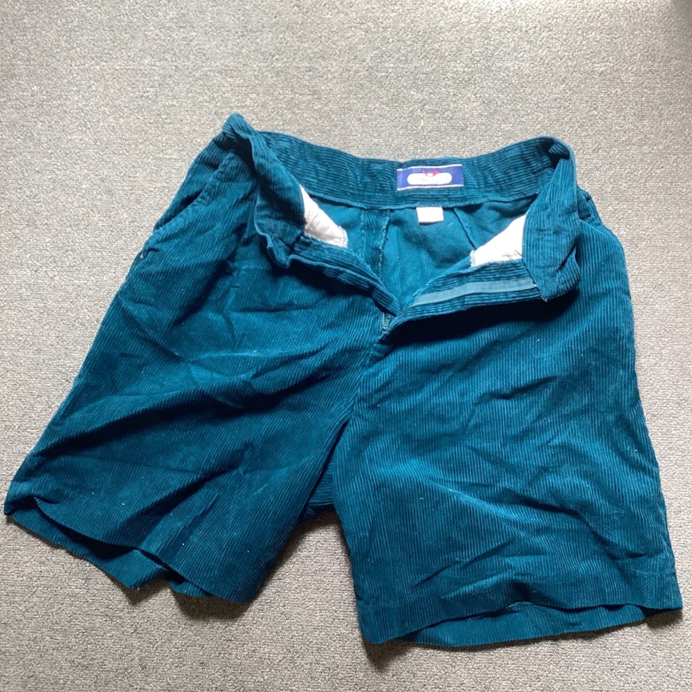 Blue Flat Front Shorts with Relaxed Fit